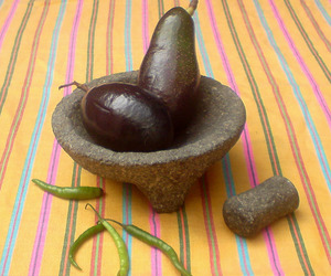 The native Mexican avocado, Peresea drymifolia © Daniel Wheeler, 2009