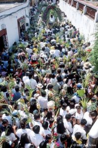 Palm Sunday Triumphant Entry