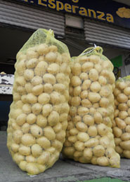 Sacks of potatoes from Sinaloa in warehouse in Guadalajara's Abastos farmer's market © Daniel Wheeler, 2010