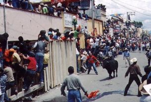 Huamantla, Tlaxcala - bull run