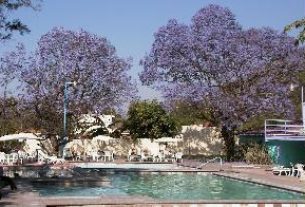 Villas Buenaventura features cottages and guestrooms around geothermal mineral springs at San Juan Cosala on the shores of Lake Chapala. In spring, jacaranda blossoms bring clouds of lilac color to the gardens.