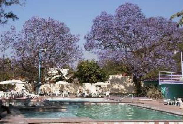 Villas Buenaventura features cottages and guestrooms around geothermal mineral springs at San Juan Cosala on the shores of Lake Chapala. In spring, jacaranda blossoms bring clouds of lilac color to the gardens.