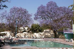 Villas Buenaventura features cottages and guestrooms around geothermal mineral springs at San Juan Cosala on the shores of Lake Chapala. In spring, jacaranda blossoms bring clouds of lilac color to the gardens.