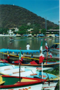 Lake Chapala In 2004