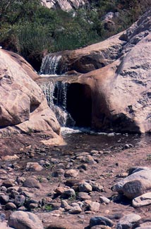 Stream in the rugged deserts of Baja © Bruce F. Barber, 2012