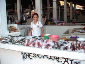 Mexico's markets: Mercados de Mexico