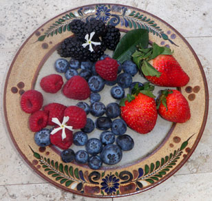 Fresh berries are widely available in Mexico. © Daniel Wheeler, 2010