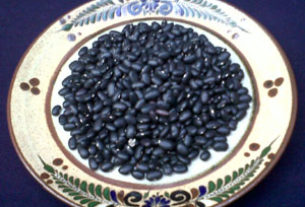 Black beans © Daniel Wheeler, 2010