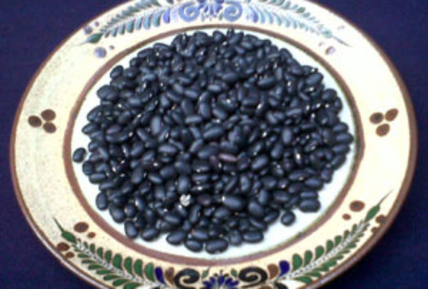 Black beans © Daniel Wheeler, 2010