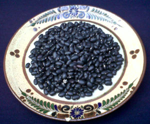 Black beans © Daniel Wheeler, 2010