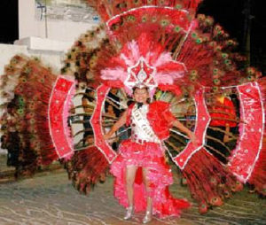 The costumes for Carnival vary from magnificent peacock feather headdresses, 15 feet across, to skimpy bikinis.