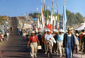 The colorful multitude now stretches as far as the eye can see.