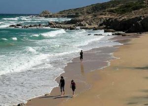 The small bay of Los Arbolitos is just few kilometers to the south of Cabo Pulmo in Baja California Sur.