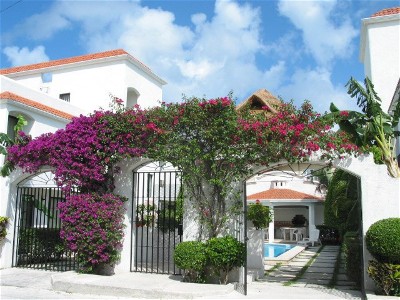 Casa Martillo