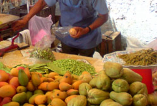 Chayotes in a street market resemble green pears © Daniel Wheeler 2009