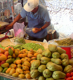 Chayotes in a street market resemble green pears © Daniel Wheeler 2009