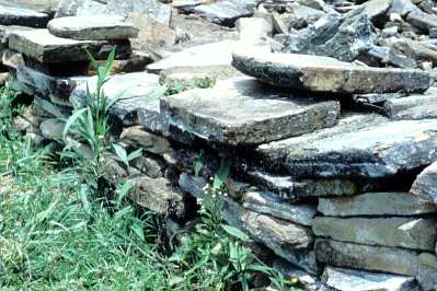 Mayan brick wall