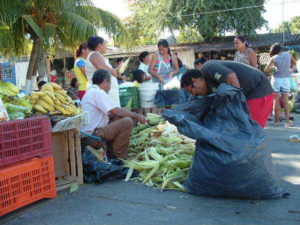 Mexico's markets: Mercados de Mexico