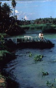 Estero San José, San José del Cabo