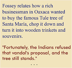 fossey text