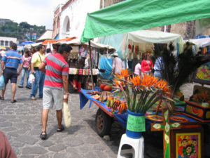 Fresh birds of paradise and natural peacock plumes compete with hand-carved wood objects painted in bright colors. Tepoztlan's Sunday craft market has something for everyone. © Julia Taylor 2007