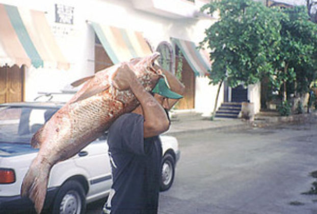 A man carries home a very fresh fish in Puerto Escondido, Oaxaca © Geri Anderson,1999