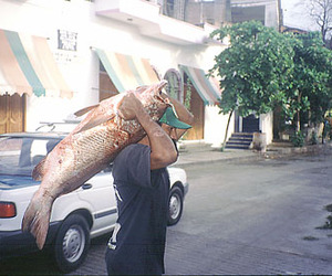 A man carries home a very fresh fish in Puerto Escondido, Oaxaca © Geri Anderson,1999