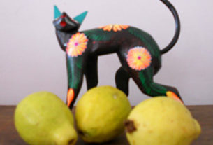 Mexican guavas with an alebrije cat © Sergio Wheeler 2011