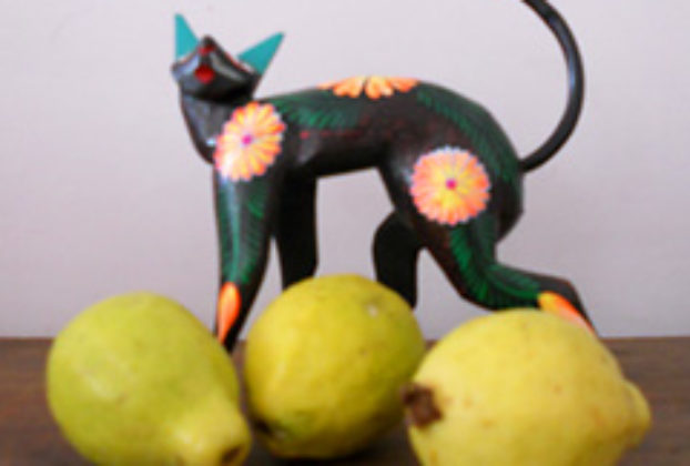 Mexican guavas with an alebrije cat © Sergio Wheeler 2011