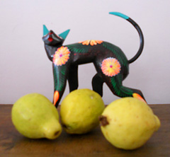 Mexican guavas with an alebrije cat © Sergio Wheeler 2011