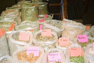 Herbs in a botica or yerberia such as those favored by Josefina © John G. Gladstein, 2010