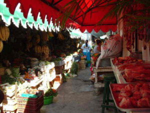 Mexico's markets: Mercados de Mexico