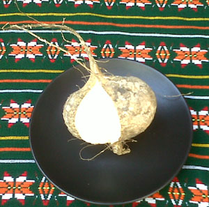 Jicama © Daniel Wheeler, 2009