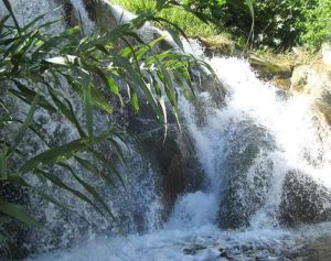 Unusually for desert-like Baja, the mountain scenery near El Triunfo is greatly enhanced by a higher rainfall and permanent streams. In the rainy season these can swell suddenly and dramatically. The arroyo scenery around San Bartolo is about as good as it gets. Photo by Marisa Burton