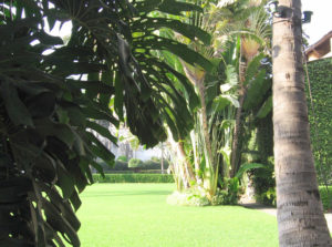 Well kept lawns provide the setting for special events, as the Mexican hacienda is available for weddings, etc. © Julia Taylor 2008