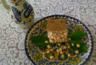 Macadamia nuts are a popular and delicious Mexican cash crop © Daniel Wheeler 2010