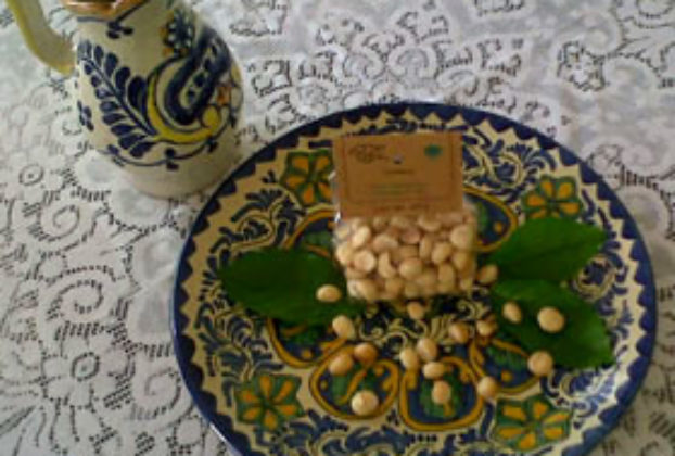 Macadamia nuts are a popular and delicious Mexican cash crop © Daniel Wheeler 2010