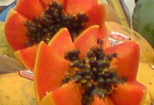 Fresh papaya seeds have a spicy, peppery flavor. © Daniel Wheeler, 2009