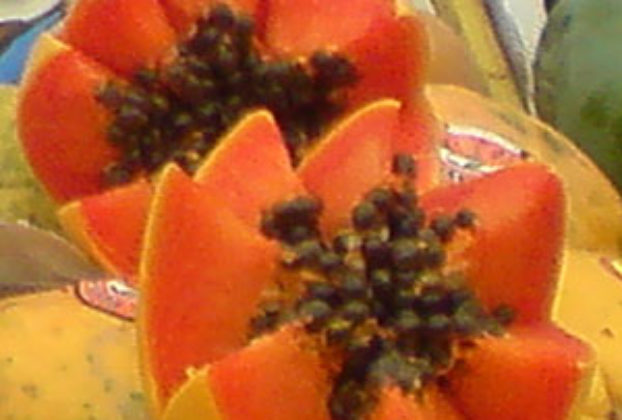 Fresh papaya seeds have a spicy, peppery flavor. © Daniel Wheeler, 2009