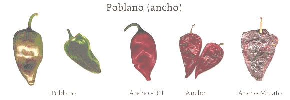 Chile poblano