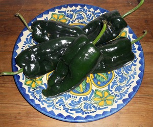 Named for the state of Puebla, poblano peppers are tasty, attractive and widely used ©Carol Wheeler 2017