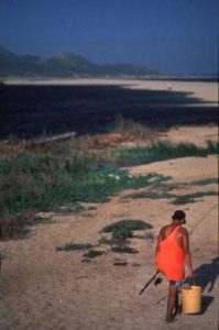 Beach at San José del Cabo