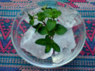 Fresh hierbabuena, or spearmint leaves © Daniel Wheeler, 2009