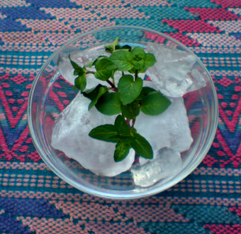 Fresh hierbabuena, or spearmint leaves © Daniel Wheeler, 2009