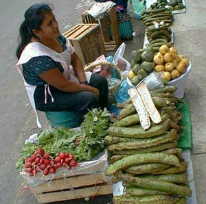 Street merchant © Bill Begalke, 2000