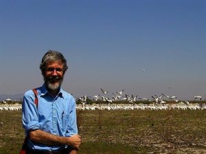 The author wonders where the pelicans will go next. Photo by Andrea Conkle ©2002