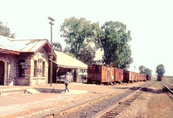 Est. Bernal, near Tequisquiapan, Queretaro. (1980)