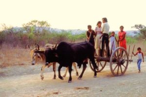Riding the cart to the train, near Ixhuatan, Oaxaca © Tony Burton 1985