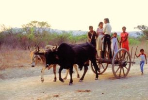 Riding the cart to the train, near Ixhuatan, Oaxaca © Tony Burton 1985