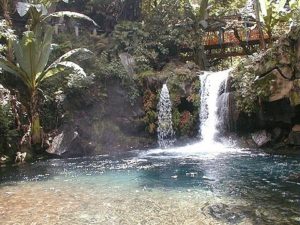 Parque Nacional Eduardo Ruiz - Waterfall